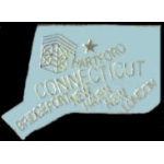 CONNECTICUT PIN CT STATE SHAPE PINS